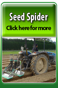 Seed Spider