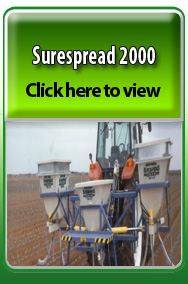 Seed Spider